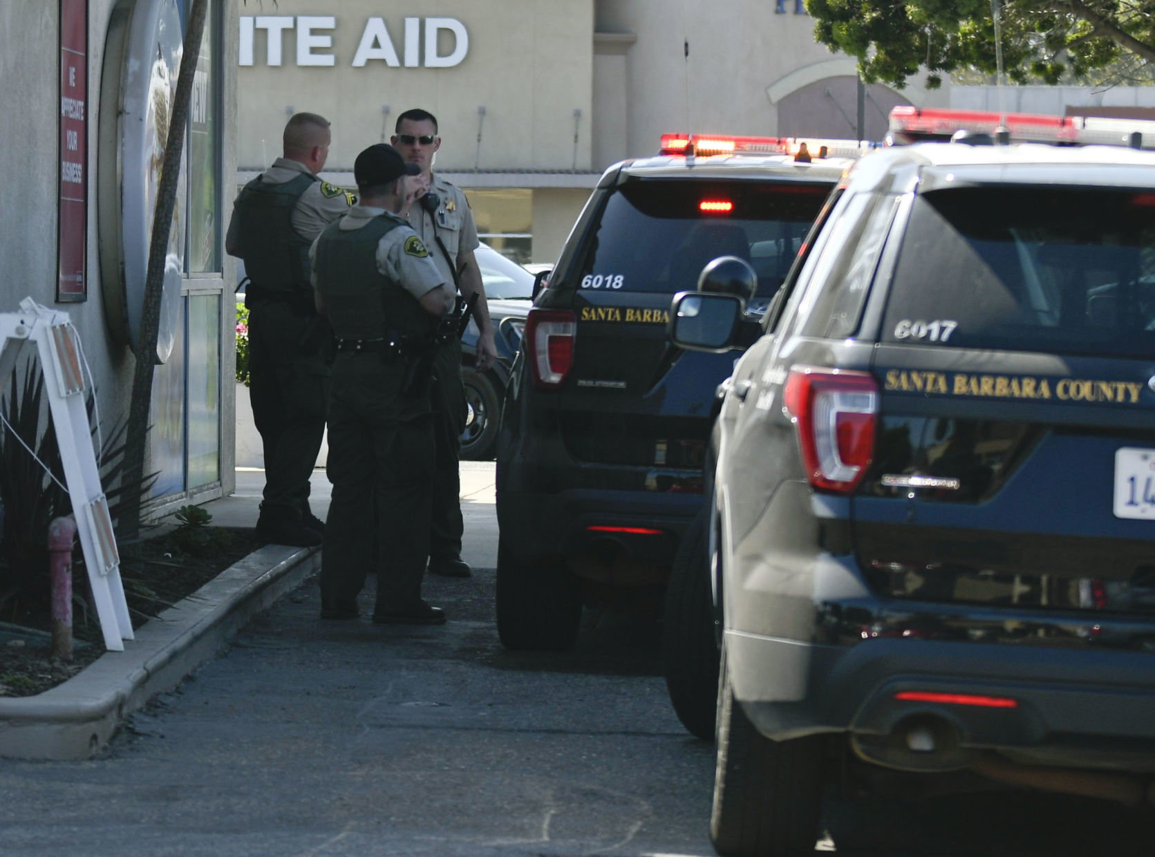 092519 Juvenile pursuit 03.jpg